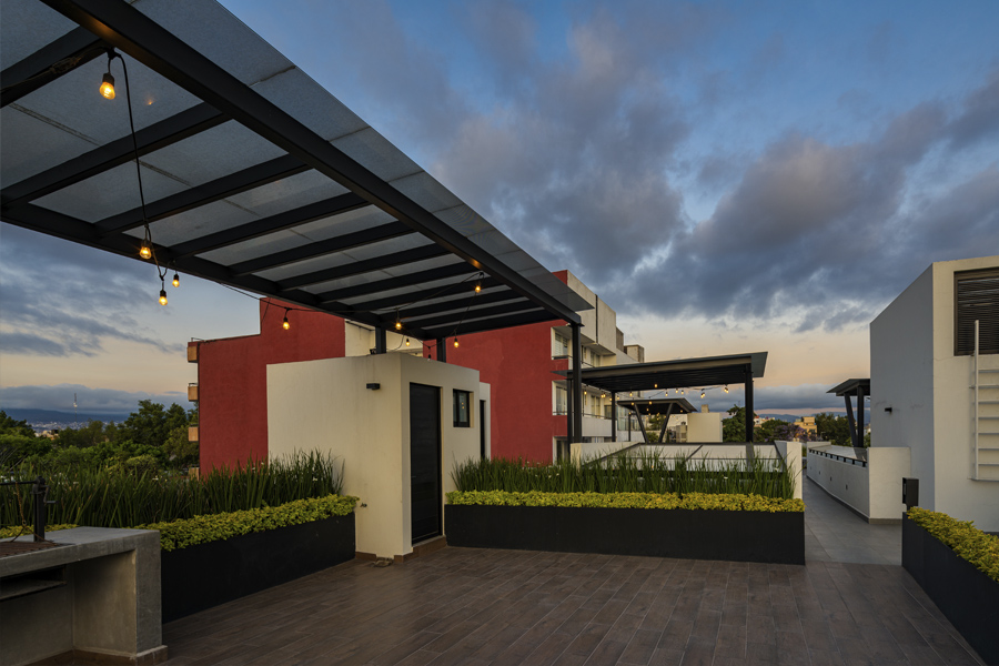 B618 roof garden con plantas verdes separando los ambientes